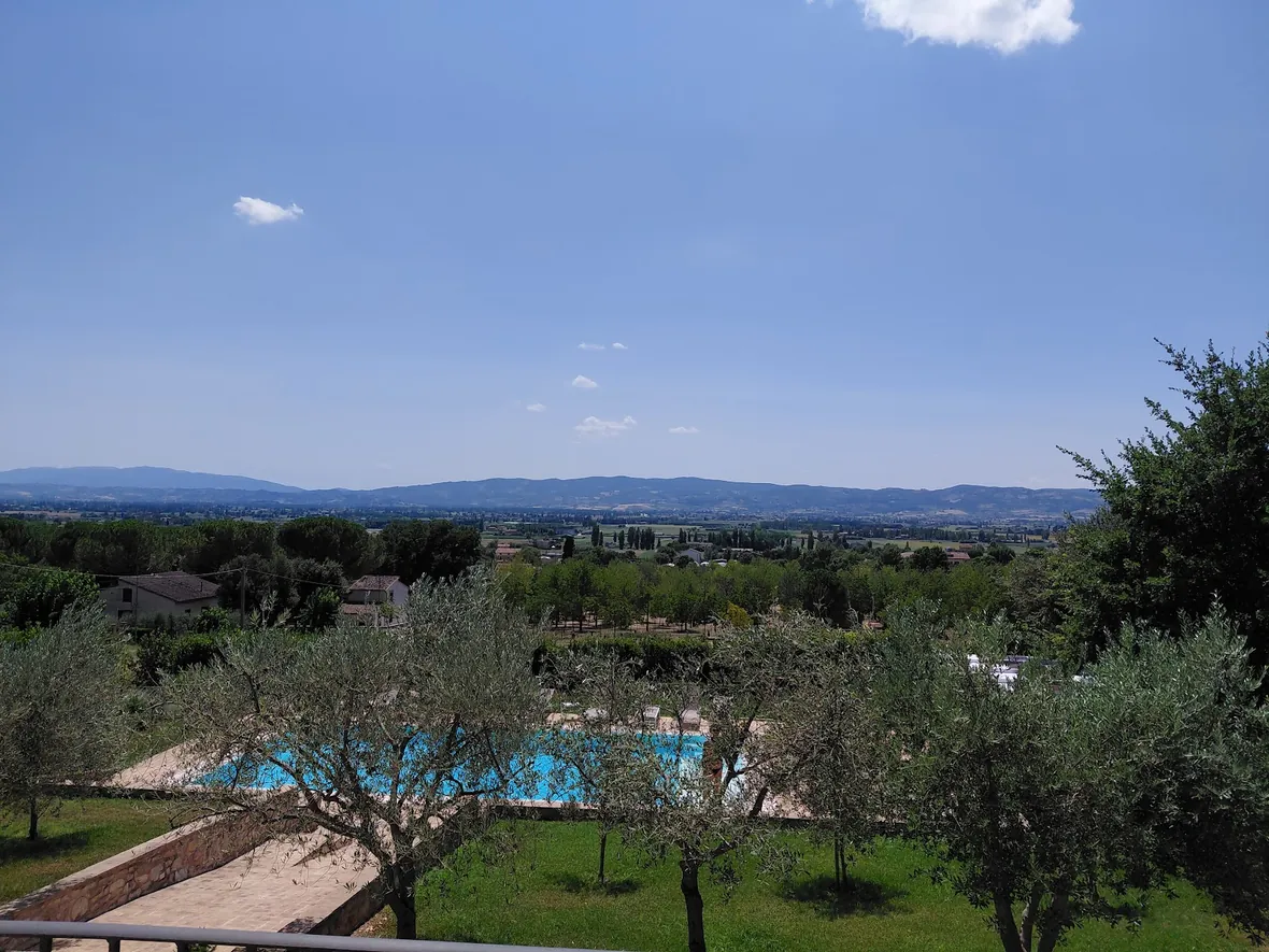 La piscina fra gli ulivi con le colline sullo sfondo