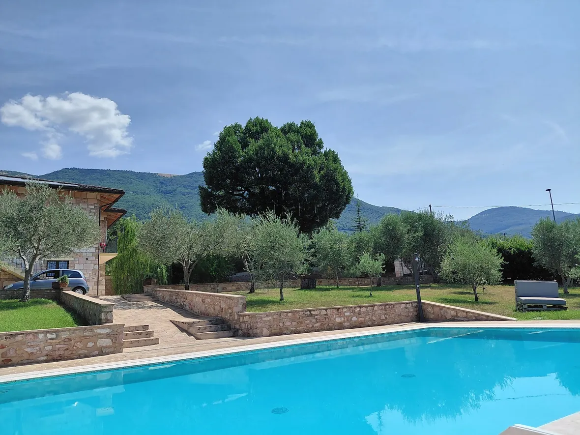 La piscina con l'albero e le colline sullo sfondo