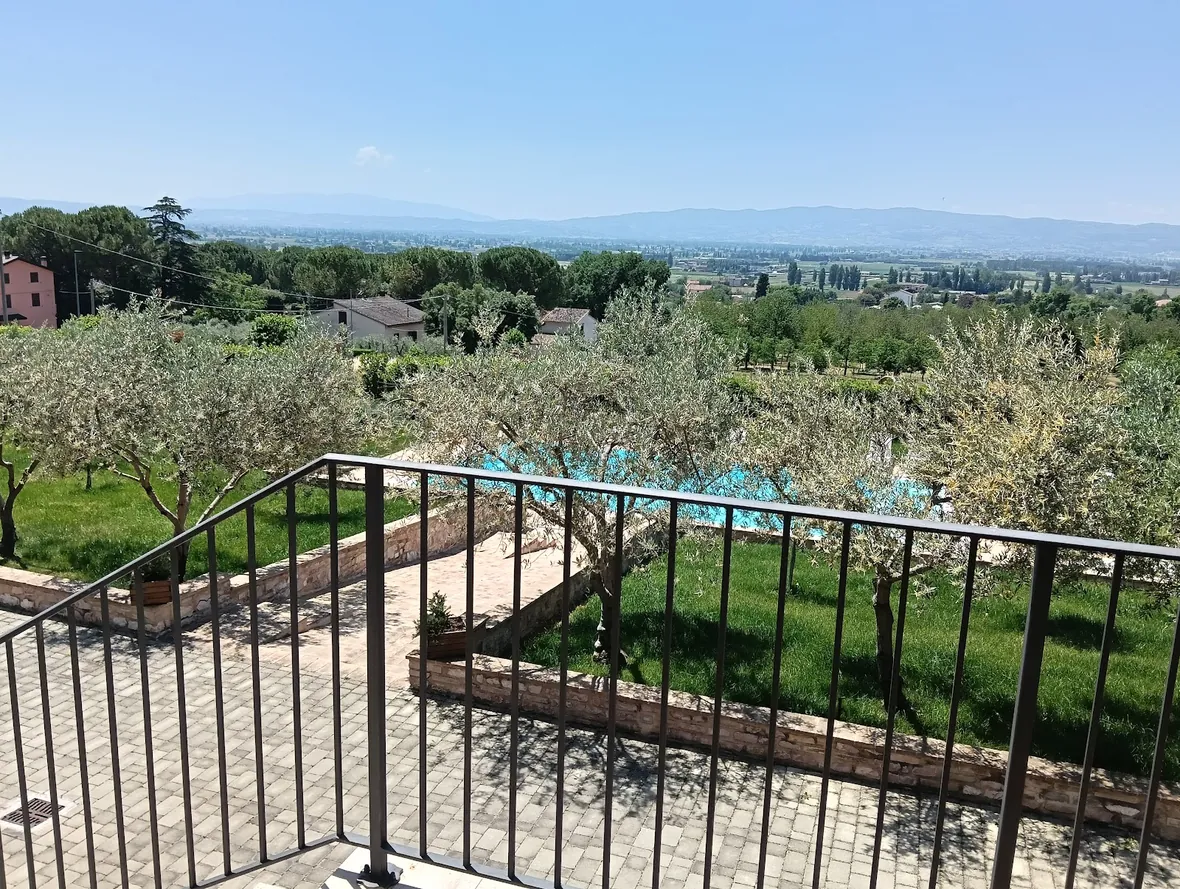 L'uliveto davanti alla casa con la vista aperta sulla pianura